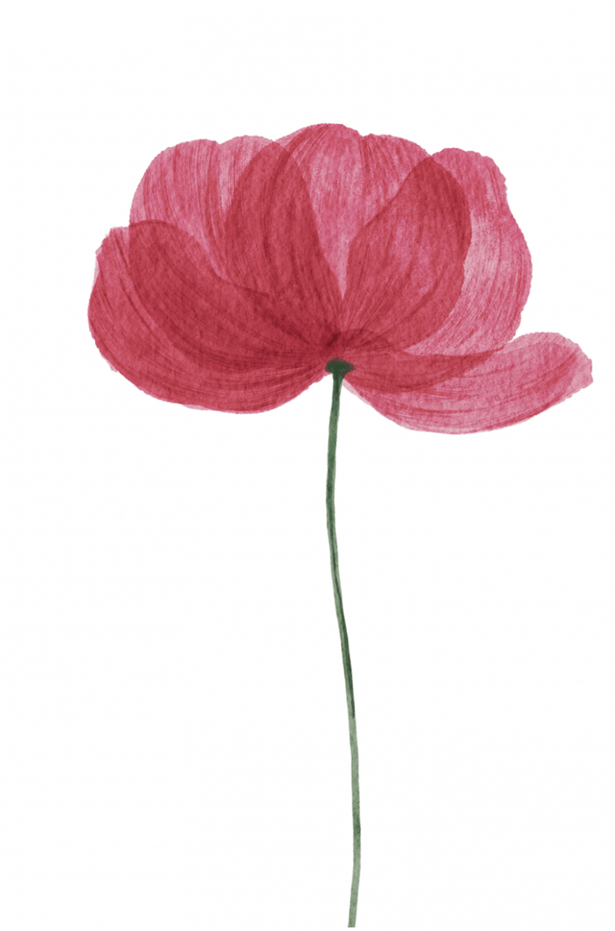 Red-Illustrated-Thank-You-Your-Story-1.png